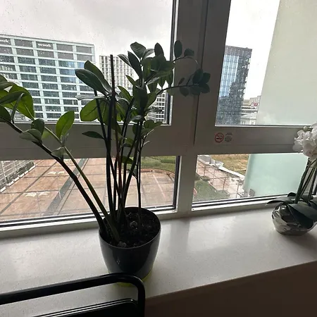 דירה Grzybowskastreet Parking Platinumtowers *
